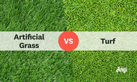 Lawn Vs Artificial Turf