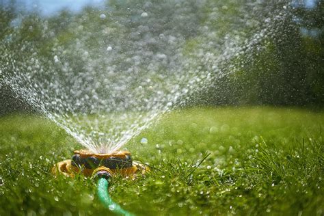 Lawn Watering