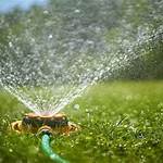 Lawn Watering Image