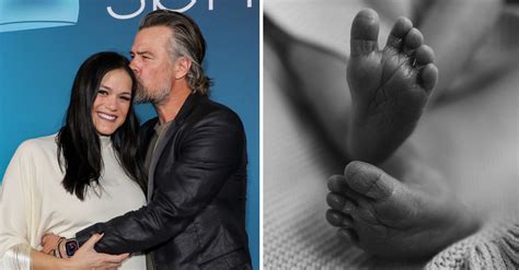 lawrence shepherd bird