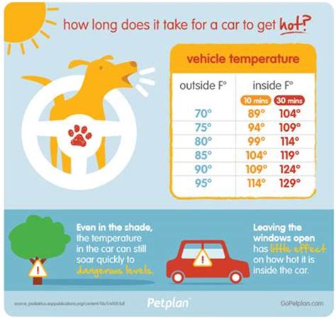 laws on leaving dogs in cars
