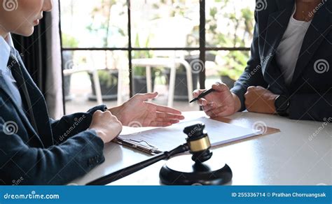 lawyer explaining will client law