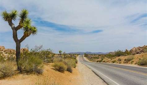 2 Days in Joshua Tree Itinerary You'll Want to Copy