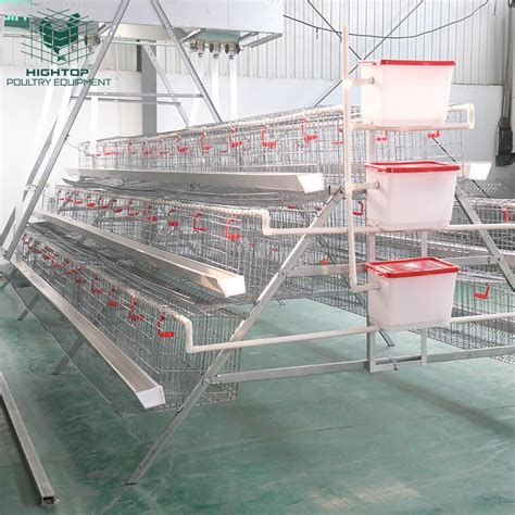 layer chicken cages for sale in zimbabwe