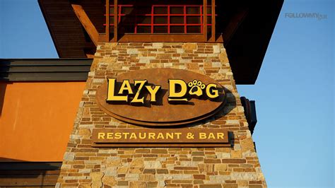 lazy dog restaurant