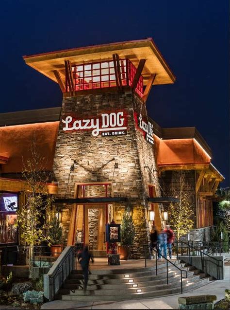 lazy dog restaurant & bar