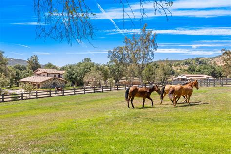 lazy oaks ranch