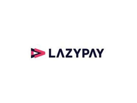 lazypay private limited annual report