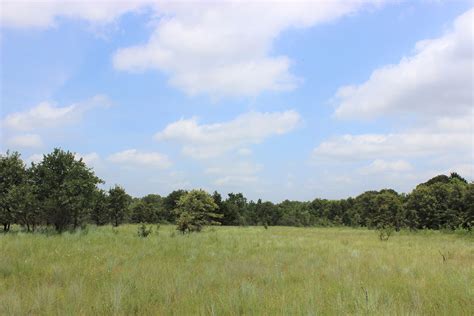 Lbj Grasslands