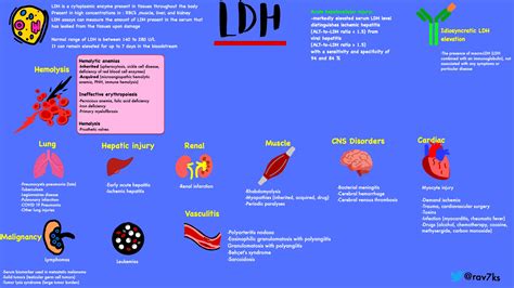 ld lactate dehydrogenase high