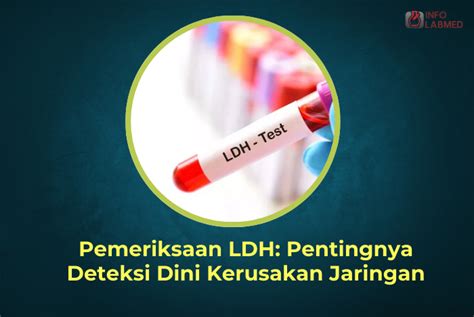 ldh adalah