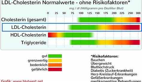Cholesterin Normalwerte (Tabelle)