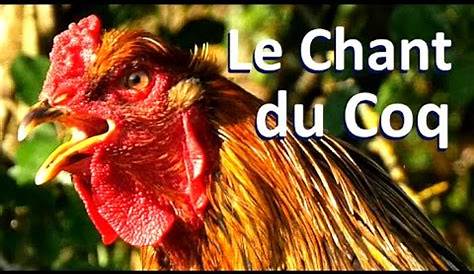 Chant du Coq - Bruitage [FREE DOWNLOAD] - YouTube