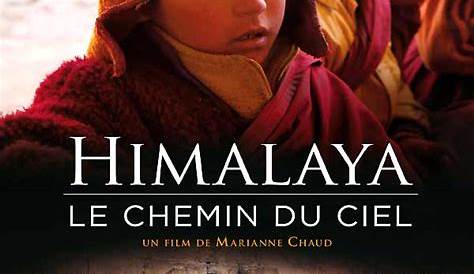 Le Chemin Du Ciel Film Miracles (2016) SensCritique
