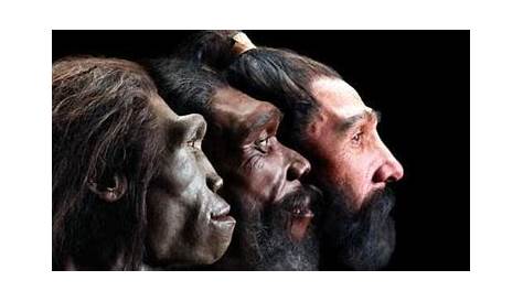 Le origini dell'uomo narrate dai suoi resti fossili La ricerca delle