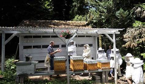 Le rucher école | Apiculteurs du Canton de Cernay et Environs
