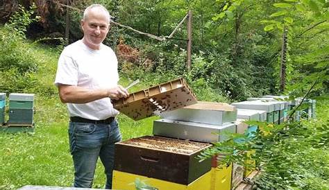 Les différents types de ruche d'abeilles des apiculteurs - Zapiculture