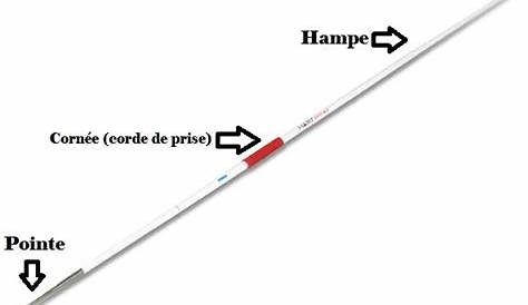 Le Schema De Javelot Photo Stock Athlète Sur Point Lancer Un