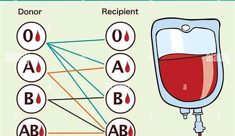Le Schema De La Transfusion Sanguine TRANSFUSION Groupes Sanguins Rythrocytaires (systme ABO