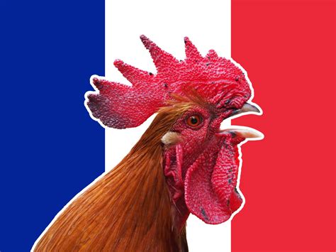 le coq represente la france
