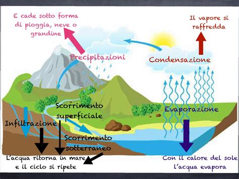 le fasi del ciclo dell'acqua