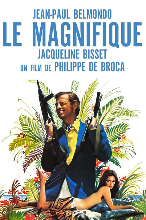 le magnifique film streaming