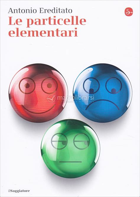 le particelle elementari libro