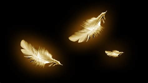 Famous Le Tre Piume Fiaba Latest