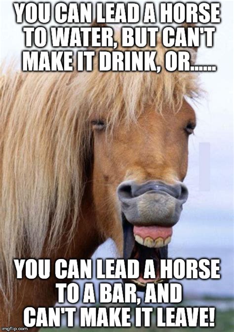 You can lead a horse to water... Horses, Memes, Water