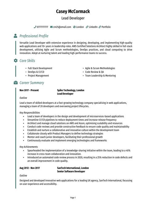lead developer cv example