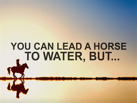 lead horse to water