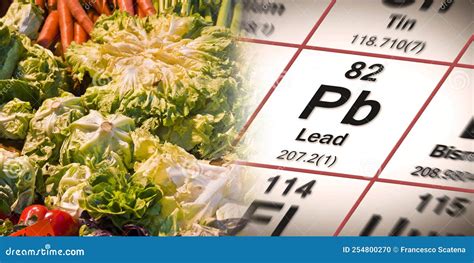 Lead In Vegetables