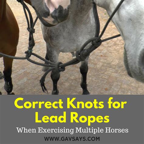 Lead Rope Knots