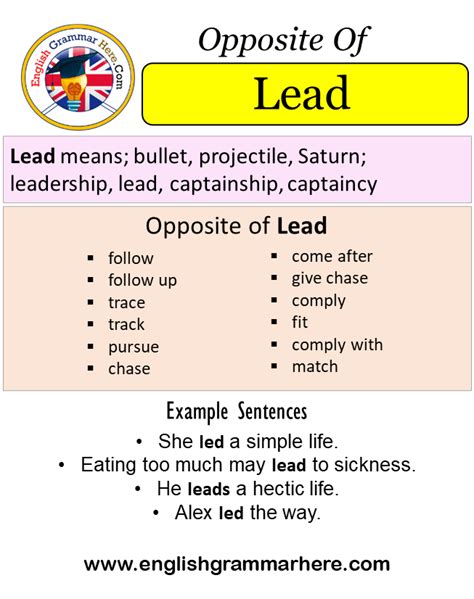Leader Antonym
