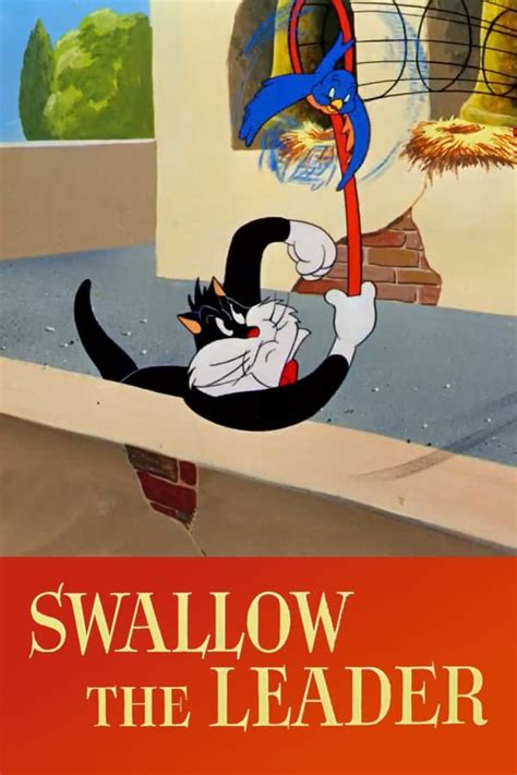 leader the swallow