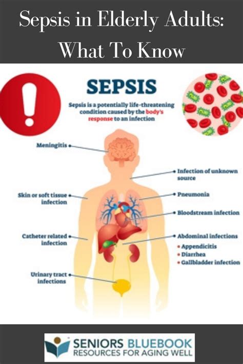 leading cause of sepsis in elderly