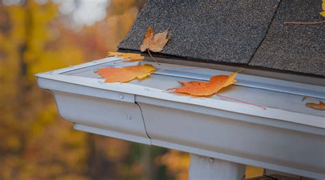 Leaf Filter Gutter Guards Review Must Read This Before Buying