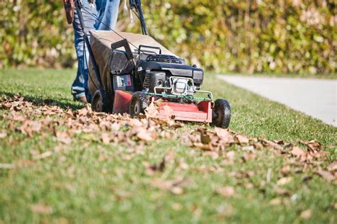 Fall Lawn Care Tips for Knoxville, TN