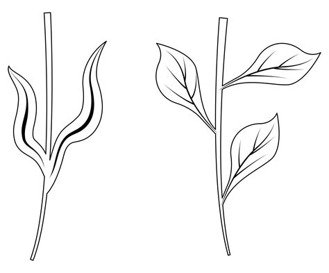 Leaf And Stem Template Printable