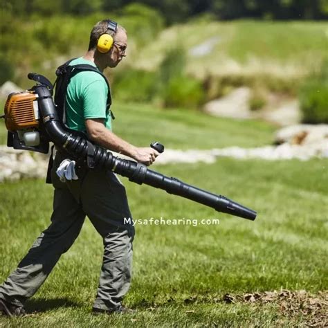Leaf Blower Ear Damage