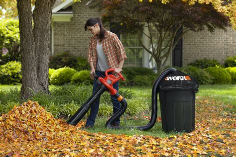 Leaf Blower Vacuum Collection System