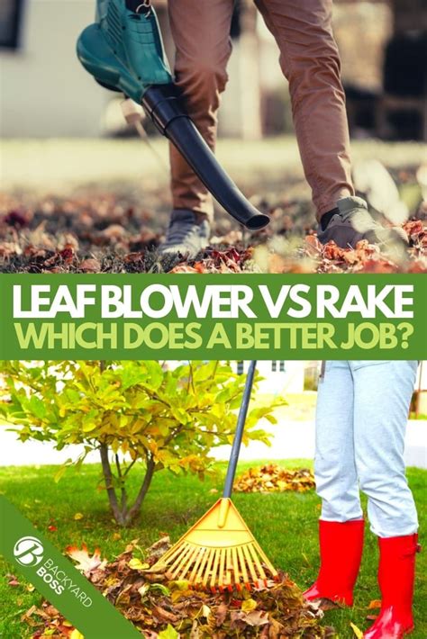 Which is Better A Leaf Rake or A Leaf Blower?