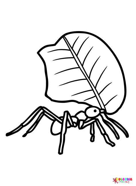 Leaf Cutter Ant Printable