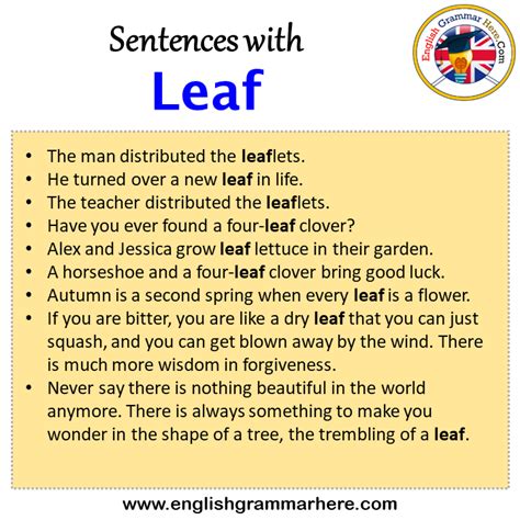 Leaf Example Sentence