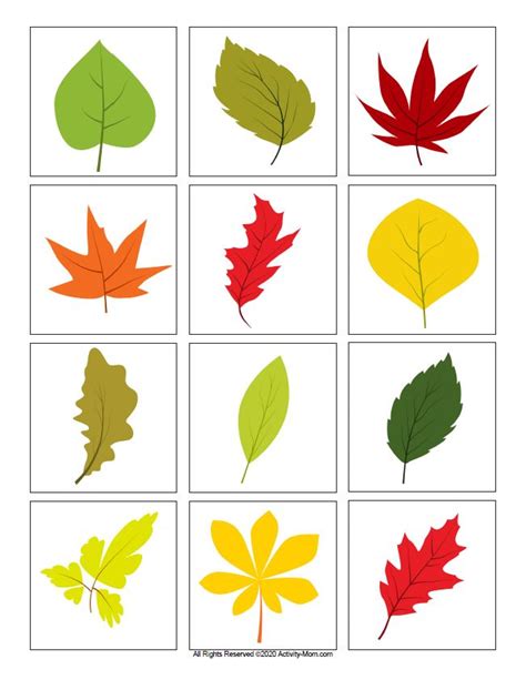 Leaf Matching Game Printable Free