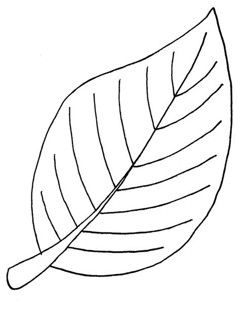 Leaf Pattern Coloring Pages