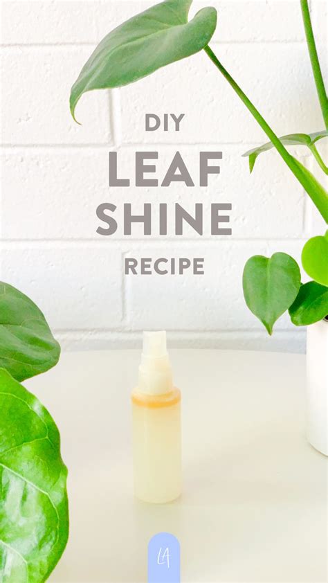 Leaf Shine Spray Recipe