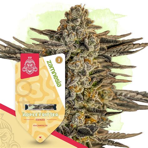 leafly apple fritter