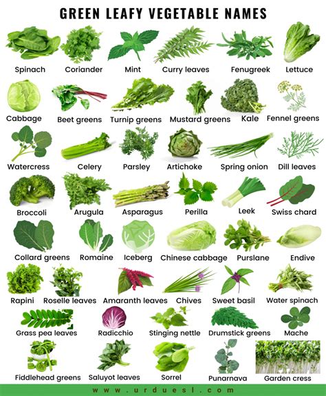 Benefits of Leafy Vegetables
