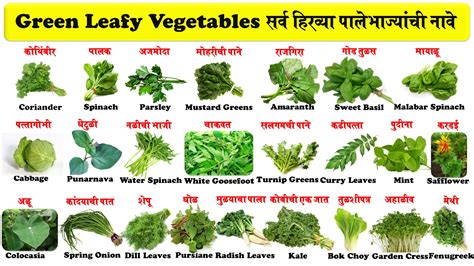 Leafy Vegetables in Marathi